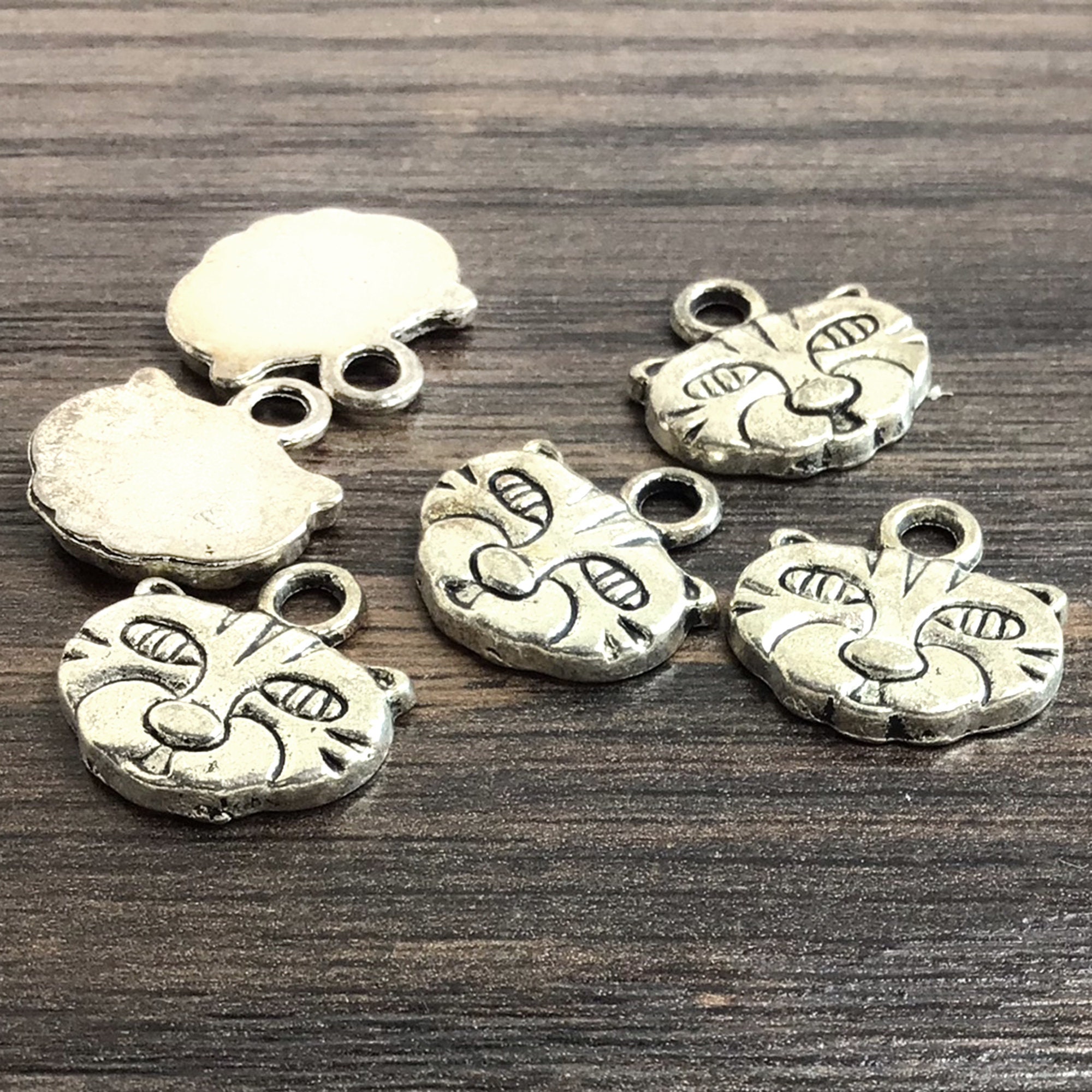 Silver Pewter Cheetah Charms, Tiger Charm, Big Cat Charm For Jewelry Making,  Bracelet Natural Beads, Metal Bead Pendant - Yahoo Shopping