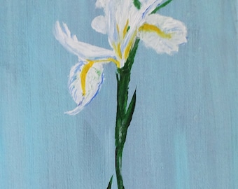 A Lily White Wedgewood, an original painting by John Cowan.