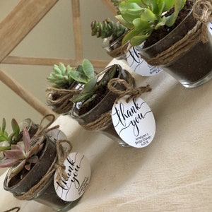 May include: Succulent plants in small glass jars with twine and a round thank you tag. The tag says "Thank you" and "[Name]'s Bridal Shower [Date]"