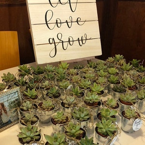 May include: A table top display of small potted succulents in silver buckets with a sign that reads "Let love grow".