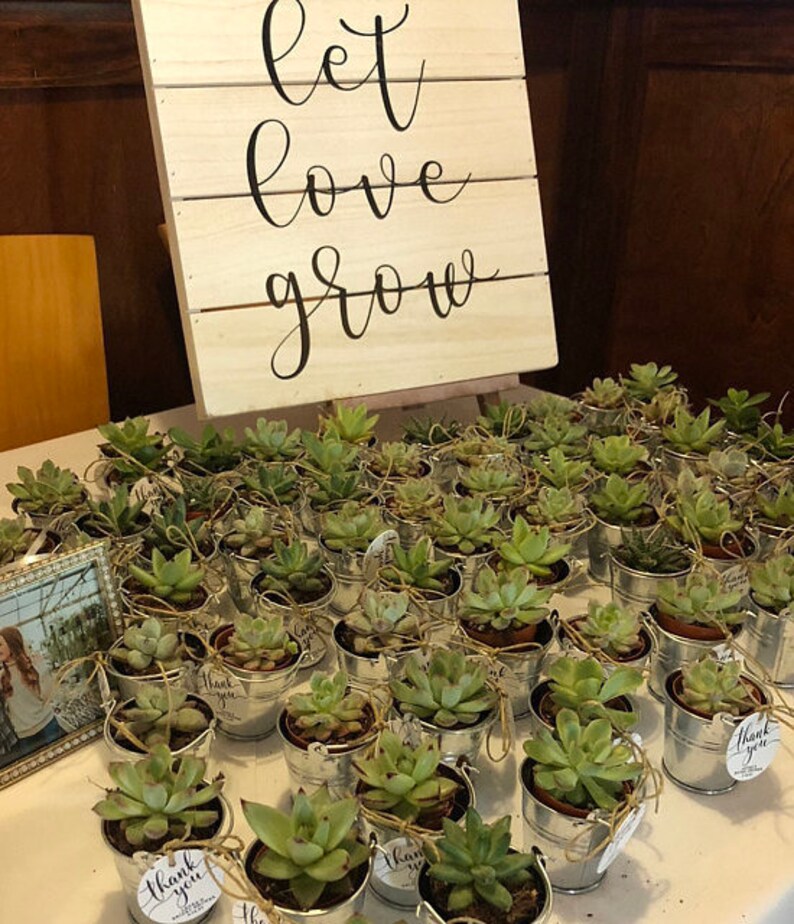 May include: A table top display of small potted succulents in silver buckets with a sign that reads "Let love grow".