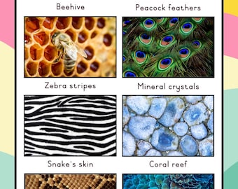 Póster para el aula sobre tipos de patrones (en inglés)