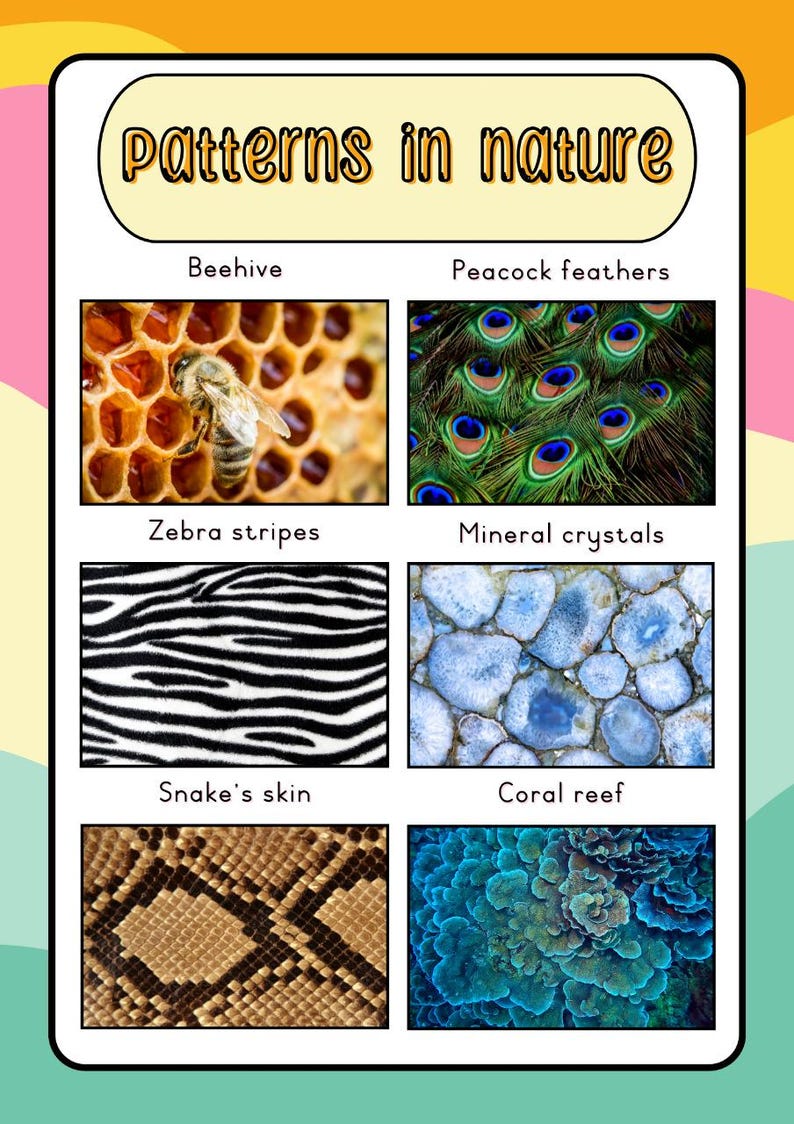 Pattern Description Words Types of Patterns Classroom Poster (english) - Etsy UK