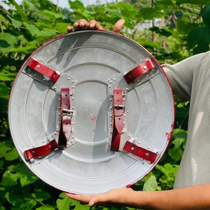 May include: A silver shield with red edging and leather straps. The back of the shield has four red leather straps, secured with metal rivets and buckles. The shield is held against a backdrop of green leaves.