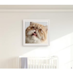 Exotic Shorthair Cat Portrait – 8K Ultra-Realistic Close-Up Digital Art Print with Tongue Out Expression, Cute Pet Wall Decor Download