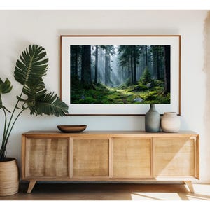 Misty Pine Forest Wall Art – 8K Green Woodland Landscape Print with Sun Rays, Mossy Trail and Atmospheric Nature Scene for Calm Spaces
