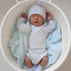 20Inch Reborn Dolls, Lifelike Newborn Baby Dolls, Hand-Painted Sleeping Reborn Baby Girl Christmas Gift, Soft Plastic Doll Toys,Read to Ship