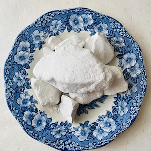 Edible Chalk Seversky  Natural 1 LB Vacuum Packed