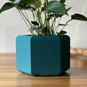 Peut inclure: Plante d'Anthurium en pot, avec des feuilles vert foncé et une fleur blanche. Le pot est de couleur teal et de forme géométrique. Le pot est posé sur une surface en bois.