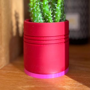 Puede incluir: Una pequeña y vibrante planta de cactus verde en una maceta cilíndrica roja con base rosa. La maceta tiene estrías horizontales. La planta se exhibe en un estante de madera, con una botella borrosa en el fondo.