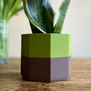 Puede incluir: Una maceta geométrica de dos tonos, en tonos verdes y marrones, que contiene una planta de serpiente con hojas a rayas verdes y amarillas. La maceta está sobre una superficie de madera, con un jarrón de tulipanes en el fondo.