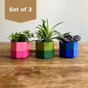 Spring Planter Set - Set aus drei bunten zweifarbigen Töpfen mit Drainagehilfe