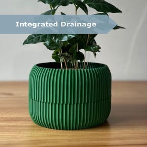 Può includere: Un vaso per piante verde, a coste, con una pianta all'interno. Il vaso ha una forma cilindrica ed è realizzato in un materiale verde pieno. Il testo "Integrated Drainage" è visualizzato sopra il vaso. Il vaso è appoggiato su una superficie di legno.
