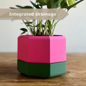 Colourful Two Tone Octagonal Plant Pot with Integrated Drainage - Eco Friendly Plant Care Gift