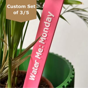 Plant Watering Reminder Sticks: Custom Weekday Plant Labels - For Forgetful Gardeners