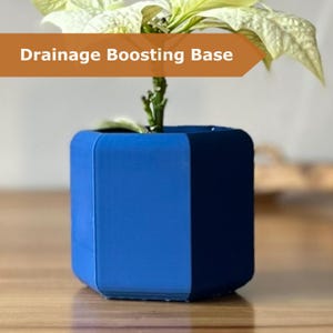 Pode incluir: Um vaso hexagonal azul de duas cores com uma planta dentro. O vaso tem um lado azul claro e um lado azul escuro. O texto "Drainage Boosting Base" está em uma faixa marrom acima do vaso.