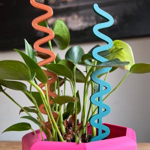 Può includere: Una vivace fioriera rosa contiene una rigogliosa pianta verde, accentuata da due paletti decorativi. Un paletto è arancione, l'altro blu, entrambi con un design a zig-zag ondulato. La forma geometrica della fioriera aggiunge un tocco moderno al giardino interno.