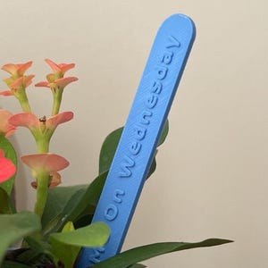 May include: A blue plant marker with the text "On Wednesday" is placed in a blue textured pot with a plant. The plant has green leaves and small red and pink flowers. The pot is on a dark surface.