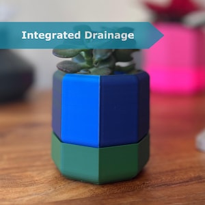 Puede incluir: Una maceta geométrica multicolor con una planta suculenta. La maceta está dividida en secciones azules, azul marino y verdes. El texto "Integrated Drainage" se muestra en una pancarta turquesa encima de la maceta. La maceta está sobre una superficie de madera.