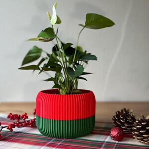 Op de afbeelding: Een potplant met groene bladeren en een witte bloem staat in een rood-groen gestreepte plantenbak. De plantenbak staat op een geruit oppervlak met rode bessen, dennenappels en een rode bel.