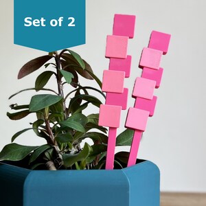 May include: A potted plant with green leaves and pink plant markers. The plant is in a teal blue pot. The plant markers are square and attached to a pink stick. The text "Set of 2" is in a teal blue shape in the upper left corner.