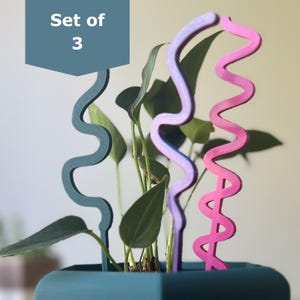 May include: A set of three decorative plant supports in a teal pot. The supports are wavy, in teal, lavender, and pink. The text "Set of 3" is in a teal box. The supports are placed in a green leafy plant.