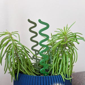 以下が含まれることがあります： 青いテクスチャード加工の鉢植えの鮮やかな観葉植物で、2つの緑色の波状の植物用杭が特徴です。杭は、緑豊かな葉に装飾的なタッチを加えます。鉢にはさまざまな緑色の植物が植えられており、活気のある室内ディスプレイになっています。