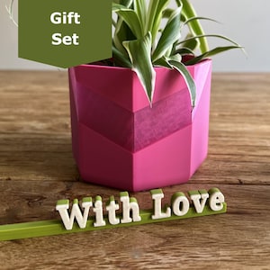 With Love Gift Set - Chevron Planter & Foliage Booster Stake – Geometric Pot with Drainage Support Booster