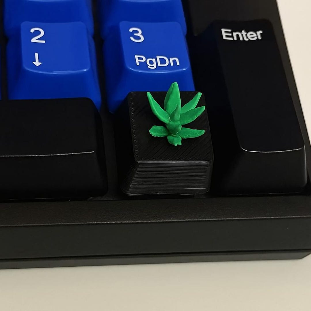 Custom Green Plant Artisan Keycap, Succulent Design, Black Base (MX ...