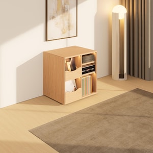 May include: A light-colored wooden storage cabinet with open compartments and a built-in shelf. The cabinet contains books, electronics, and decorative items. The room has a modern design with a neutral color palette and a large rug.