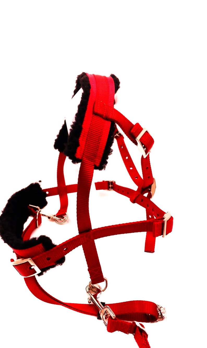 Carter Pet Supply Goat Pulling Harness USA Made Heavy Duty Etsy