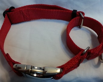 Small  Martingale Dog Collar USA Made Tough (METAL BUCKLES) 13 to 16.5 inch neck