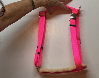 Padded Adjustable Hog (PIG) Harness Hand Made Metal Buckle Easy Fit