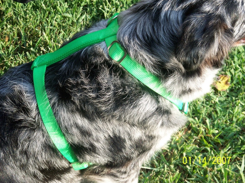 Extra Large Fully Adjustable Dog Harness Metal Hardware Etsy