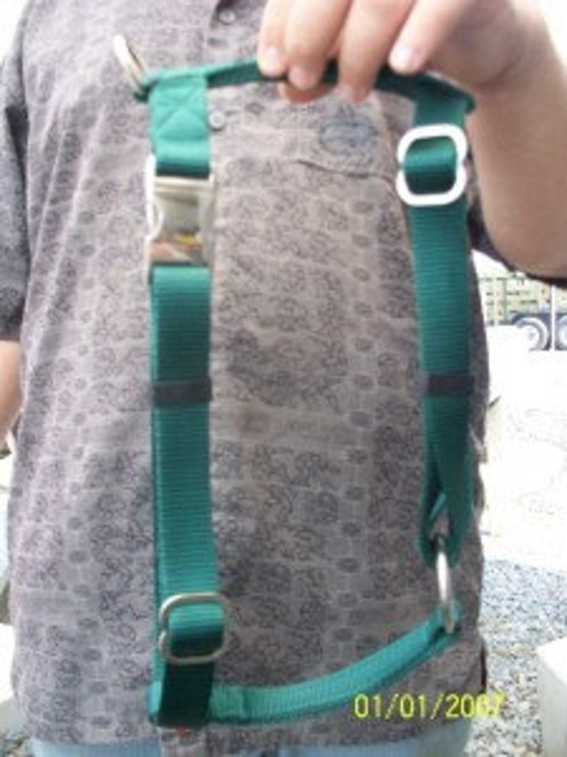 fully adjustable dog harness