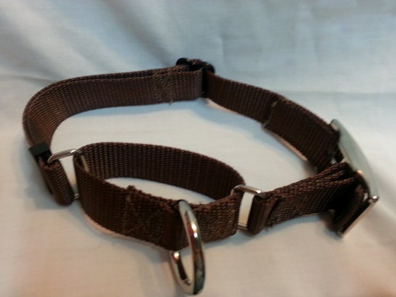 Martingale Collar Greyhound Style 4 Size Double Bar Metal Buckle USA