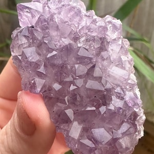 Puede incluir: Un grupo de cristales de amatista, mostrando una gama de tonos púrpuras. Los cristales tienen una estructura geométrica facetada, que atrapa la luz y crea un efecto brillante. La formación natural se sostiene en una mano, con un fondo borroso.