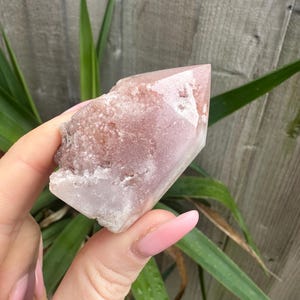 May include: A pink quartz crystal with a pointed tip and a rough, textured base. The crystal has a translucent appearance with a light pink hue. The crystal is held against a background of green leaves and a wooden fence.