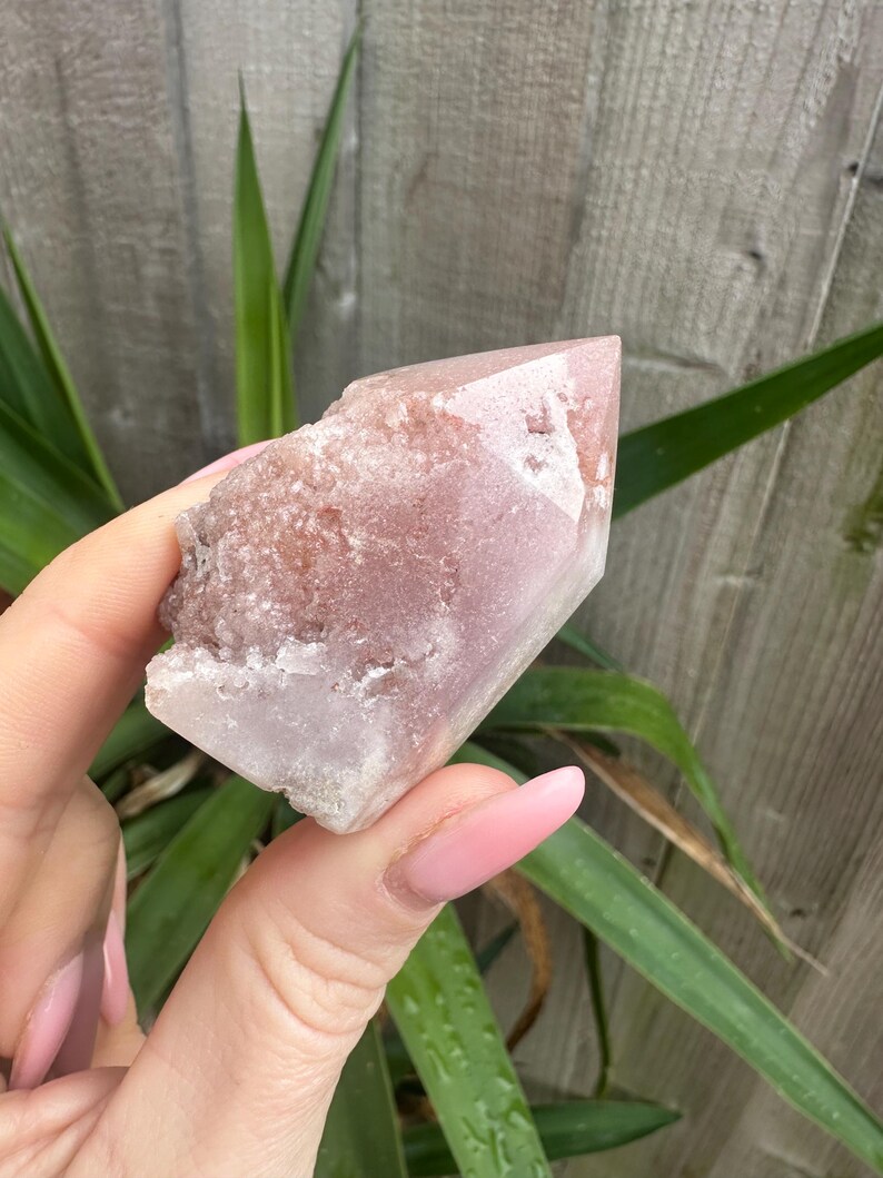 May include: A pink quartz crystal with a pointed tip and a rough, textured base. The crystal has a translucent appearance with a light pink hue. The crystal is held against a background of green leaves and a wooden fence.