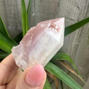 May include: A quartz crystal with a reddish-pink colour at the top and a white base. The crystal is held in front of a green leafy background. The crystal has a pointed tip and a rough, textured surface.