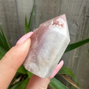 May include: A crystal point with a colour gradient, shifting from light pink at the top to translucent white at the base. The crystal is held against a backdrop of green foliage and a wooden fence.