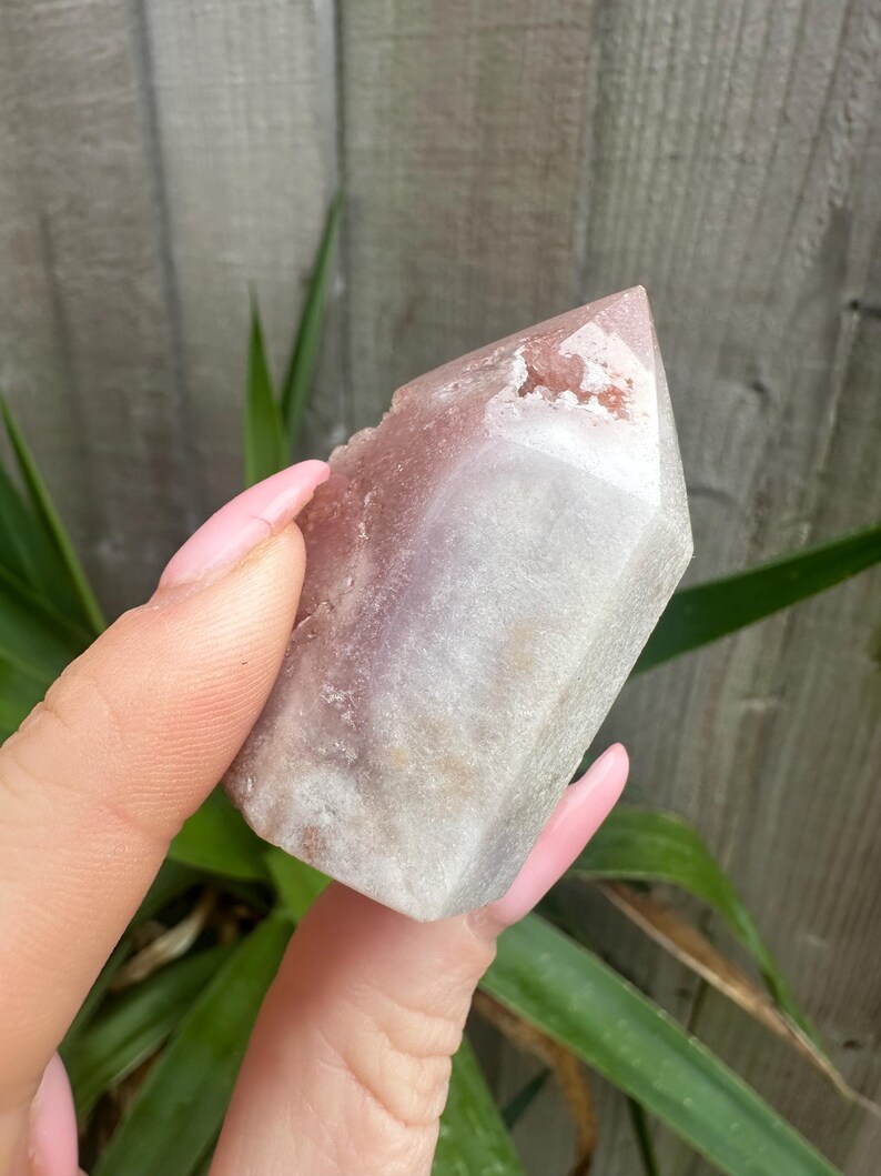 May include: A crystal point with a colour gradient, shifting from light pink at the top to translucent white at the base. The crystal is held against a backdrop of green foliage and a wooden fence.