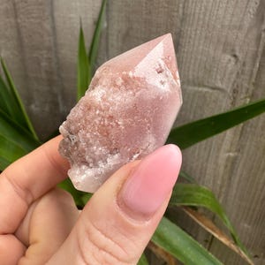 May include: A pink quartz crystal with a pointed tip and a rough, textured base. The crystal is held against a backdrop of green leaves and a wooden fence.