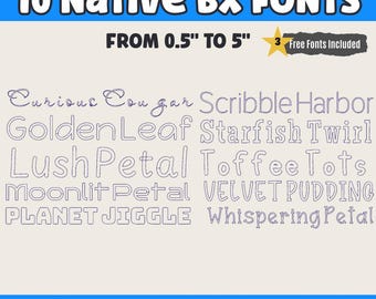 10 Font Set  BX Embroidery Font Native BX Embrilliance Elegant Vintage Alphabet Home Floral Projects Embroidery Fonts Machine Embroidery 36