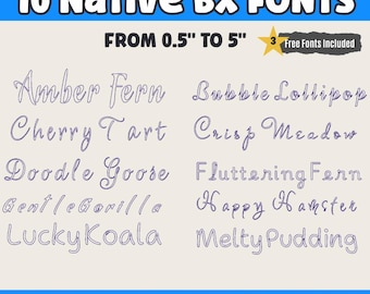 10 Font Set 1 BX Embroidery Font Native BX Embrilliance Elegant Vintage Alphabet Home Floral Projects Embroidery Fonts Machine Embroidery