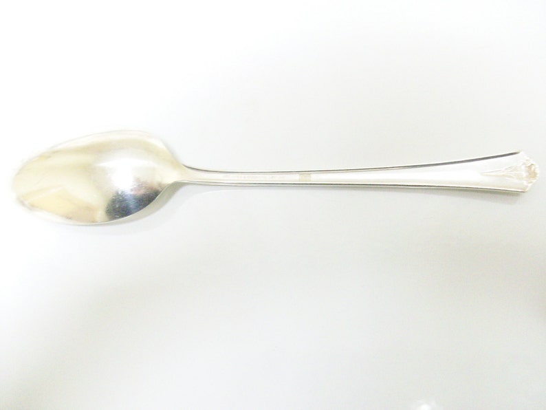 Free US Ship Spring Garden 1949 Server Spoon