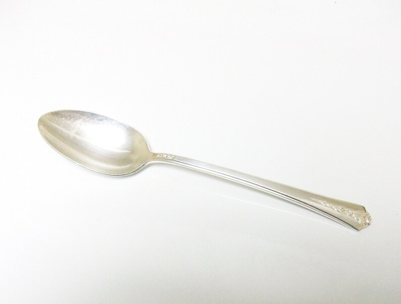 Free US Ship Spring Garden 1949 Server Spoon