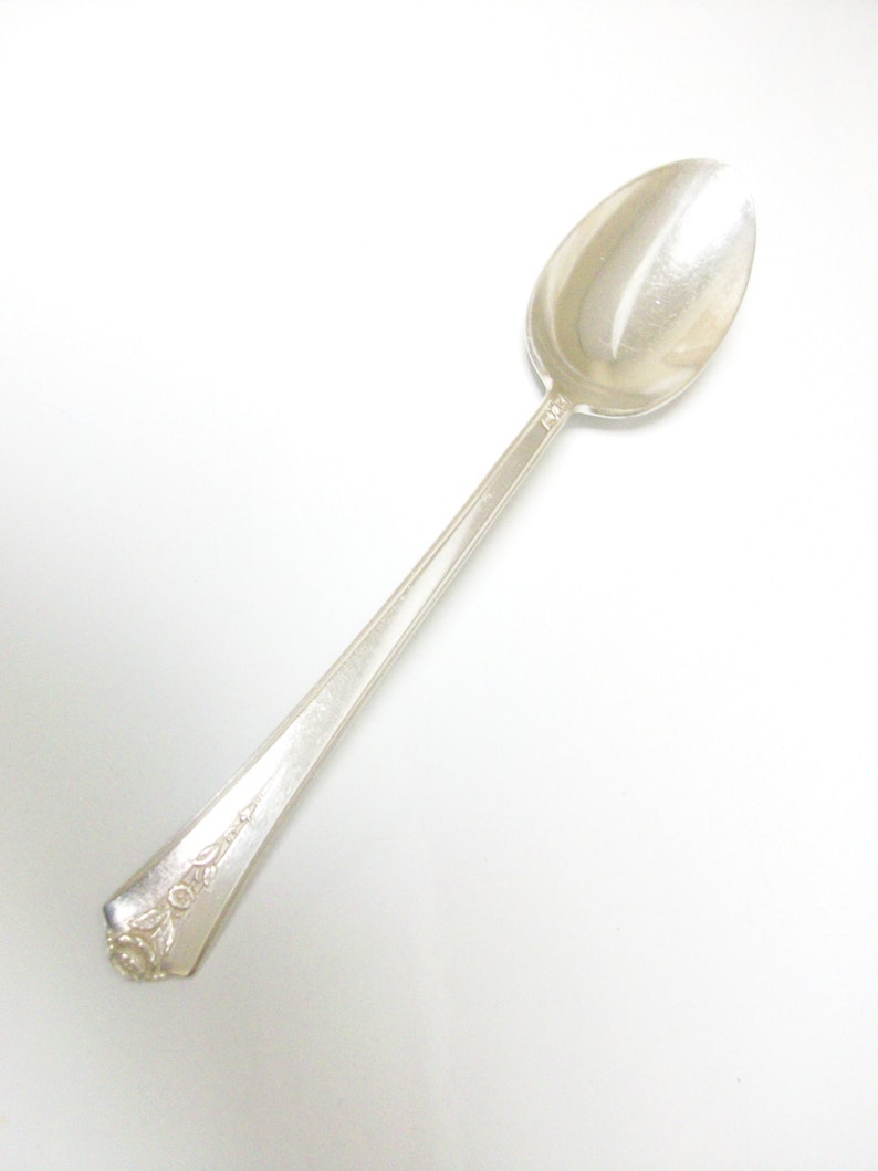 Free US Ship Spring Garden 1949 Server Spoon