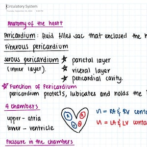 May include: A handwritten anatomy diagram of the heart on graph paper. The text includes "Anatomy of the heart", "Pericardium", "4 chambers", and a diagram of the heart with labeled chambers. The diagram uses blue, red, and black ink.
