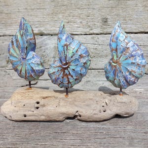 May include: Three decorative nautilus shell sculptures in blue, green, and brown hues, mounted on driftwood. The shells feature textured patterns and are supported by thin metal rods. The driftwood base has a natural, weathered appearance, adding to the rustic charm.